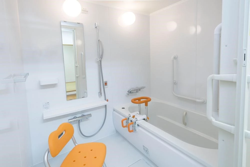 Bath Rails And Grab Bars