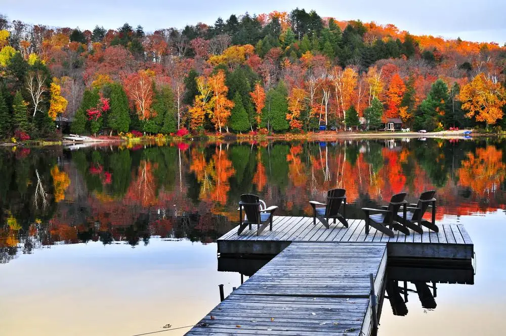 Fall landscape at the lake